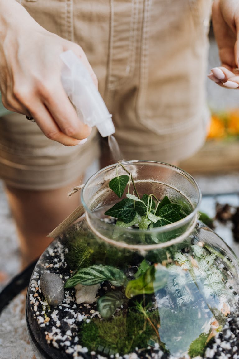 Hands watering plants in a glass terrarium, focusing on greenery.